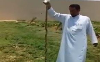 شاهد.. مواطن يقتل أفعى في مزرعته بالدلم.. ويحذر من انتشارها مع ارتفاع الحرارة