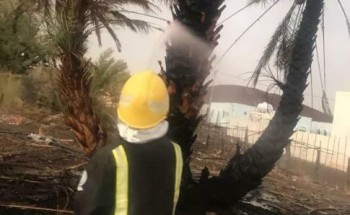 “مدني المدينة” يوضح وضع الحرائق في محافظة خيبر.. وينفي استمرارها لمدة 5 أيام