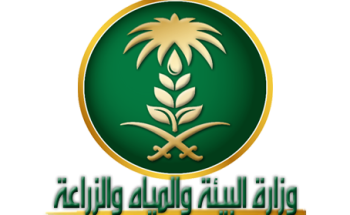 “البيئة” تكافح البعوض بـ”جامبوزيا”