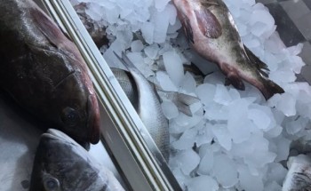 مطعم بحفر الباطن يذيب الأسماك المجمدة ويبيعها.. والبلدية تُغلقه