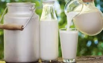 “الغذاء والدواء” تحذر: 7 أمراض خطيرة قد تصيبك إذا تناولت الحليب الخام