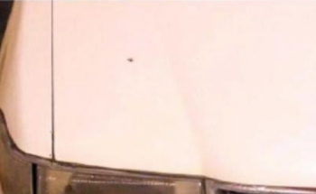 «عريس» من قفص الزواج إلى قبضة النيابة للتحقيق