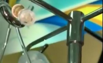 “صحة بيشة” تعلن نتائج التحقيق في مقطع رصَد وجود نمل داخل أنبوب مغذي