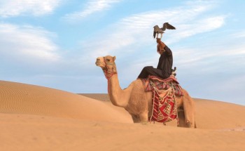 مهرجان سفاري بقيق يختتم 10 أيام من فعاليات تراث الصحراء والأصالة العربية بــ 200 ألف زائر