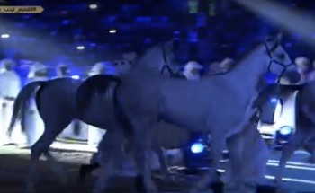 بالفيديو ” جانب من أوبريت حفل استقبال الملك سلمان بالقصيم  بمشاركة أصالة وماجد المهندس