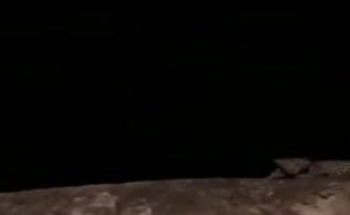 حقيقة العثور على «نمر عربي» بجبال الجعرانة في مكة