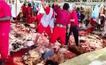 بعد فيديو تكدس الذبائح.. أمير مكة يوجه بإغلاق مسلخ المعيصم بشكل نهائي