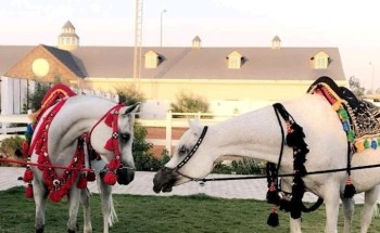 الفارسة ” مريم المزروع ” تلتقي بسيدات ملتقى تراثنا 2030