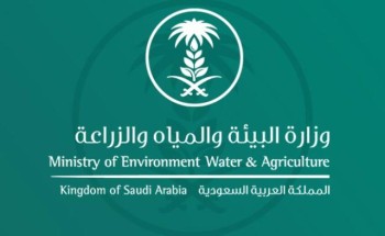 “البيئة” تستعرض المواضيع المطروحة أمام قادة مجموعة الـ 20 خلال رئاسة المملكة في 2020