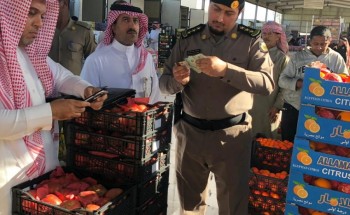 مكتب عمل الدمام ينفذ حملة تفتيشية تسفر عن ضبط ٤٨ من المخالفين لنظام العمل و الإقامة