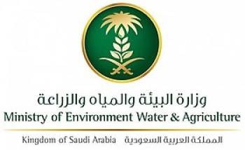 “البيئة” تشارك في المؤتمر العالمي “الكشفية وحماية البيئة”