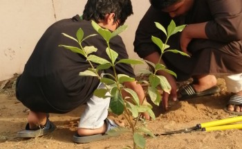 انطلاق الأعمال التطوعية بحي الملك فهد بأبو عريش