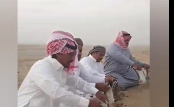 مربط الشعلان دعماُ لبيئة أملج يعيد مجموعة من طائر الكروان الى حياتها الطبيعية
