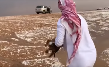 في مشهد يتسم بالرحمة والإنسانية.. مواطن ينقذ “جروين” جرفتهما مياه السيول في رماح