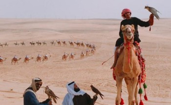 القنوات الفضائية تبدع في نقل فعاليات مهرجان الجنادرية ومهرجان سفاري بقيق