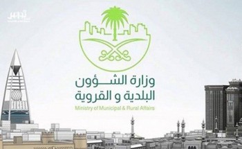 رسمياً.. «البلديات» تمنع تقزيم الأشجار