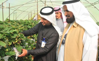 مدير عام فرع السياحة والتراث الوطني بالقصيم يزور حديقة الفراولة