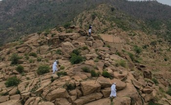 هايكنج ينفذ مسارًا للمشي على ارتفاع (٢٥١٣م) بجبال الحشر الخميس القادم