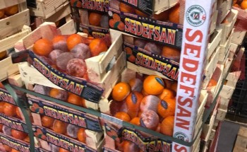 «أمانة الاحساء» مُصادرة واتلاف 187 طن ( أغذية فاسدة ) في مركزي الخُضار