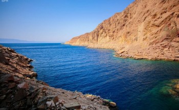 تأسيس شركة مساهمة مقفلة لتطوير “نيوم” مملوكة لصندوق الاستثمارات العامة