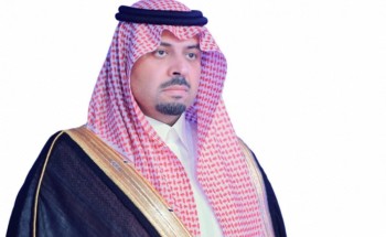 “أمير الشمالية” يوّجه بتشكيل لجنة لكشف أسباب مقتل طفل بعد مهاجمة”كلاب ضالة”