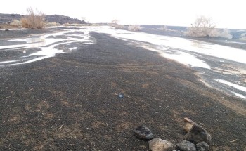 بالصور.. هطول أمطار متفرقة على جنوب منطقة حائل