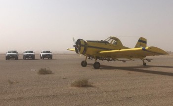 “البيئة” تواصل مكافحة الجراد الصحراوي في محافظتي الأفلاج والسليل