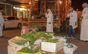 أمانة الجوف تمنع بيع البقدونس بسبب تلوثه بمتبقيات المبيدات وبكتيريا القولون