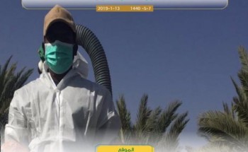 “البيئة” تنجح في مكافحة الجراد الصحراوي بمحافظتي “الأفلاج” و”السليل” على مساحة 980 هكتار