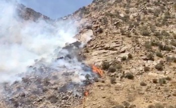 بالفيديو والصور.. حريق يلتهم 54 ألف متر من غابات وشجيرات جبل “البلس” في بلقرن