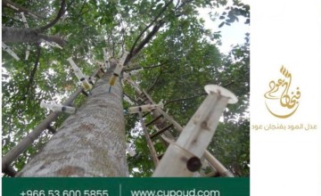 ما لا تعرفه عن رقائق العود الفتنامي أحدث صيحة في عالم العود