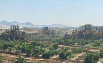 وكالة البلديات تُزيل مزارع تُسقى بمياه صرف صحي بجنوب مكة