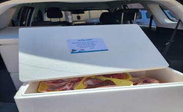 ( خير العشر ) .. الأسر الكافلة بموارد الشرقية توفر اللحوم الطازجة لمستفيديها