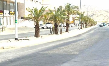 أكثر من 1500 جولة ميدانية نفذتها 3 بلديات بمكة خلال شهر