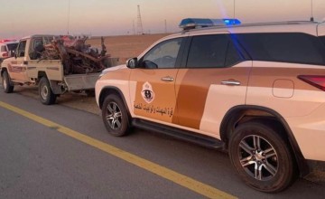 شرطة الجوف تضبط مخالفاً لنظام البئية بحوزته حطب محلي معروض للبيع