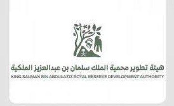 هيئة تطوير محمية الملك سلمان بن عبدالعزيز الملكية” تمهل ملاك الحيوانات السائبة أسبوعين لإخراجها من منطقة الطبيق