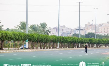 زراعة أكثر من ٧١ ألف شجرة وشجيرة بالعاصمة المقدسة