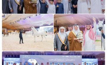 سمو محافظ الأحساء يتوج الفائزين بجمال الخيل العربية الأصيلة