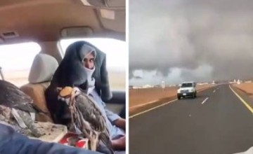 بالفيديو: الثلوج تهشم زجاج سيارة مواطن جنوب حائل