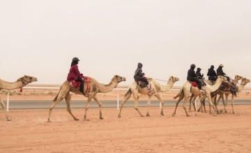 12 هجانة تختتم معسكر الجنادرية