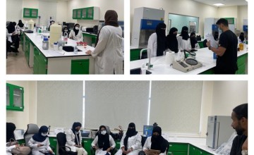 طلاب وطالبات الجامعات يتدربون في أمانة العاصمة المقدسة