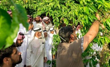 أكاديمية الشركة السعودية للقهوة تواصل رحلتها بالامتداد إلى الباحة