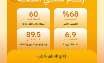 “البيئة”: المملكة تنتج 89.5 آلاف طن من المانجو سنويًا ومنطقة جازان تتصدر بإنتاج 60 ألف طن