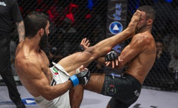 القحطاني يتعهد بفك شيفرة “الكوبرا”..والحياصات سأحتفل بالفوز بتناول “المنسف” الأردني