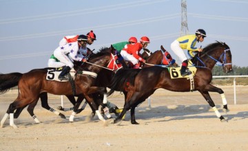 انطلاق منافسات سباقات الخيل في ميدان الفروسية بالدمام الجمعة المقبل