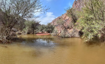انضمام “شمال الرياض جيوبارك” و”سلمى جيوبارك” لشبكة اليونسكو