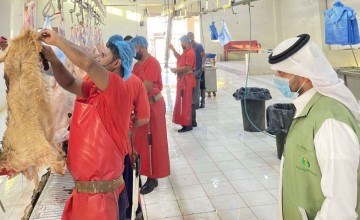 للتحقق من وجود الاشتراطات الصحية.. «البيئة» تنفذ جولات رقابية مكثفة على المسالخ بمحافظة رفحاء