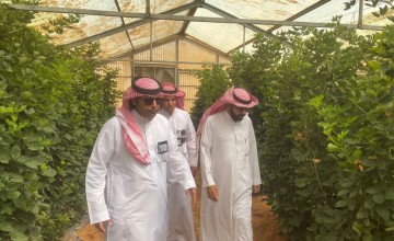«بيئة رياض الخبراء» تتفقد البيوت المحمية والمشاتل وتبحث تحديات المزارعين