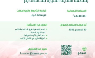 «البيئة» تطرح فرصة استثمارية لتسمين اللحوم الحمراء على مساحة 500 ألف م² بمحافظة بدر