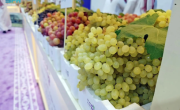 “مكتب الزراعة بالحناكية” يشارك في مهرجان العنب الأول للتعريف بالإنتاج المحلي ودعم المزارعين